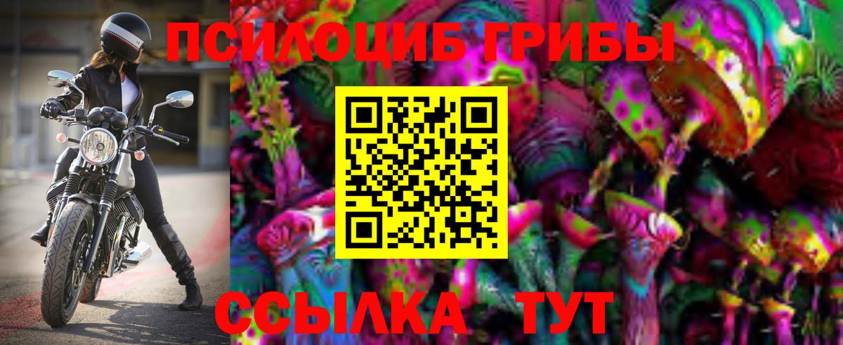 Псилоцибиновые грибы Magic Shrooms Курчатов