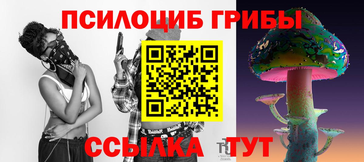 Галлюциногенные грибы Psilocybine cubensis  Вход с VPN  Курчатов 